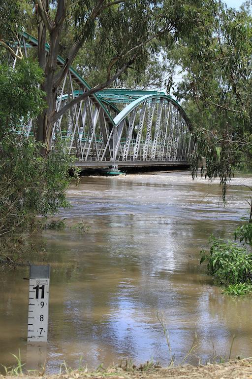 Border Motel Goondiwindi Εξωτερικό φωτογραφία